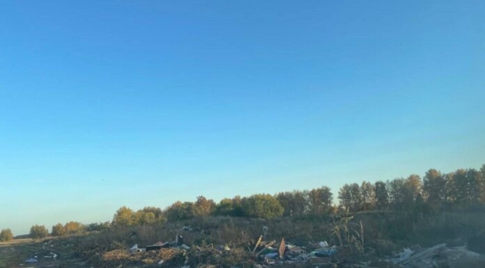    Фото пресс-службы прокуратуры Новосибирской области