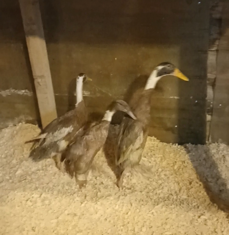 Мои каторжане в бане.