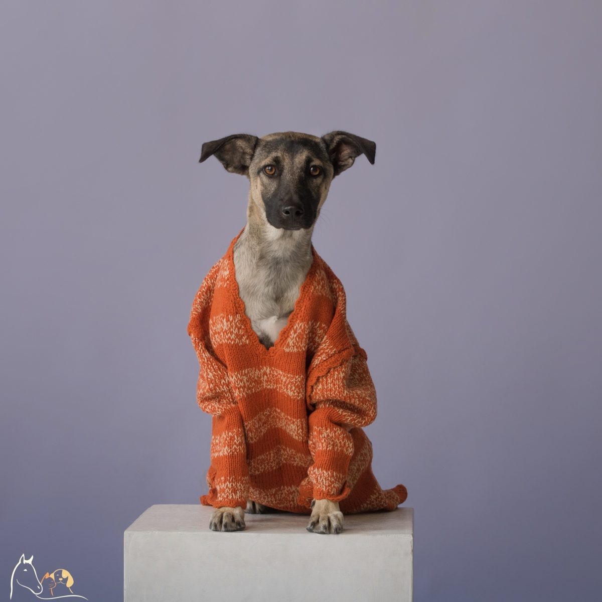    Анна Тюрина