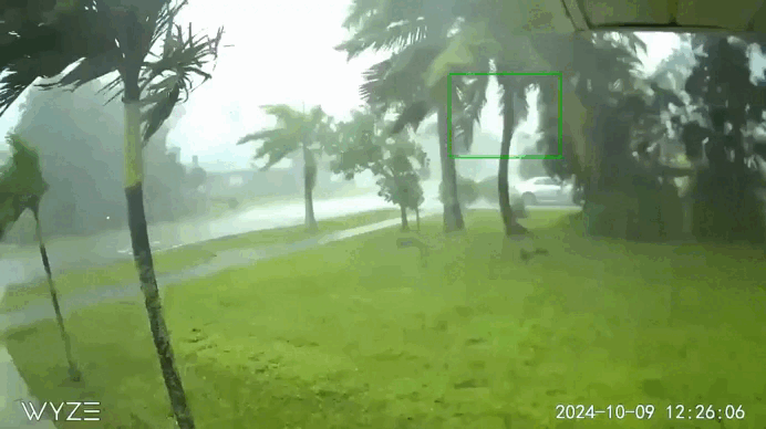    Кадры с камеры наблюдения в США