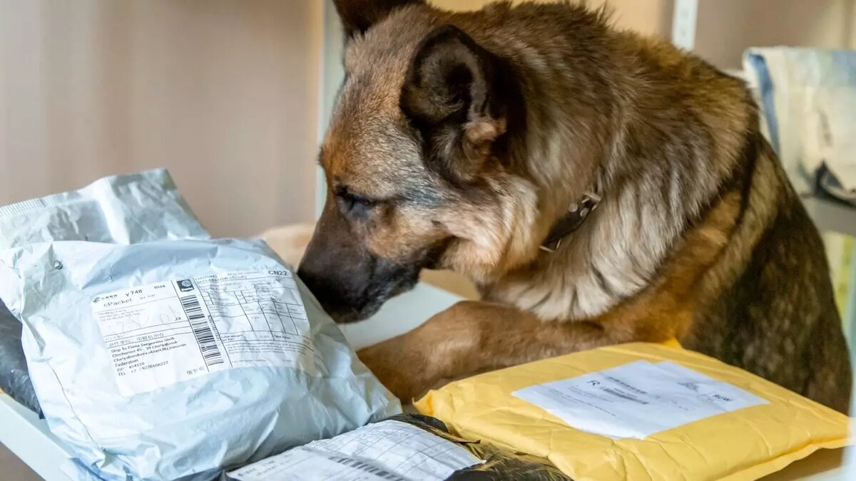     Источник: Уральское таможенное управление