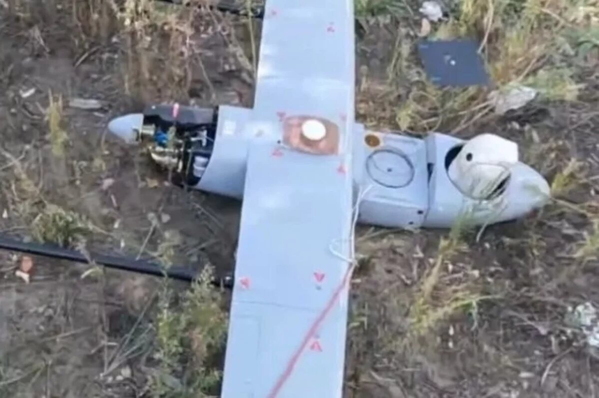    ВС РФ впервые сбили БПЛА Penguin, который на Украине считали неуязвимым