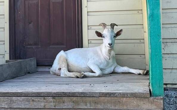 ИА SM-News Тюмень📷
