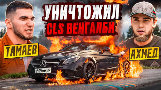 ТАМАЕВ УНИЧТОЖИЛ CLS ВЕНГАЛБИ! Конфликт с Ахмедом!