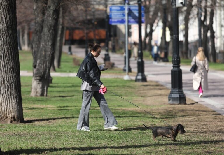    Фото: Агентство «Москва»/Новосильцев Артур Илья Мартов