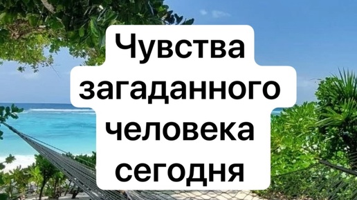 Чувства на сегодняшний день❤️😊