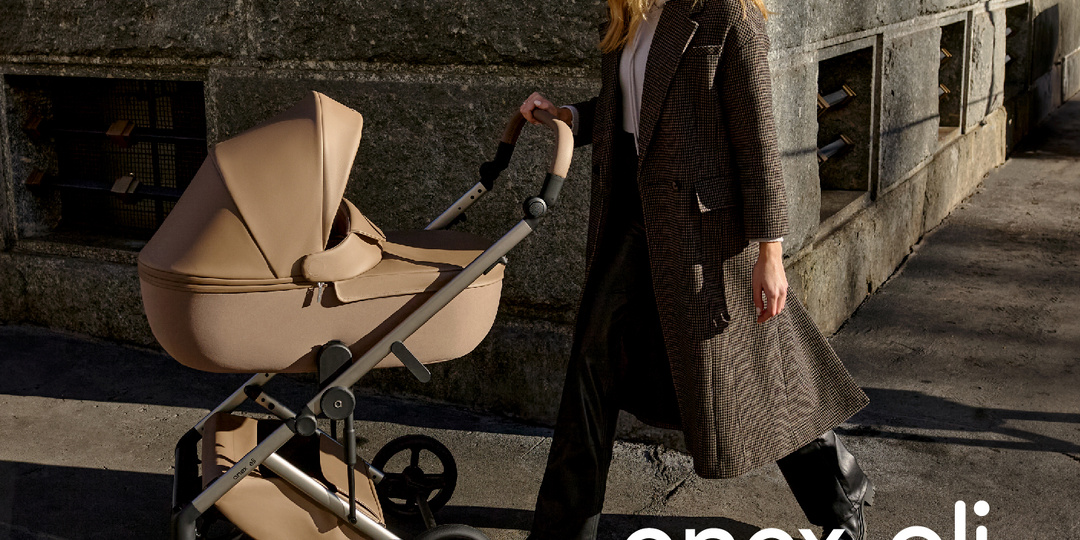 ANEX ELI: обзор коляски 2024 года