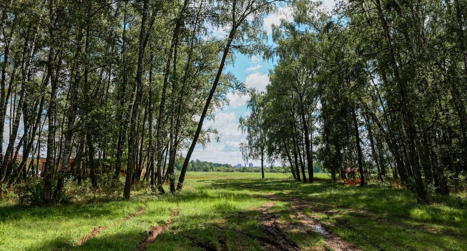    Медиасток.рф