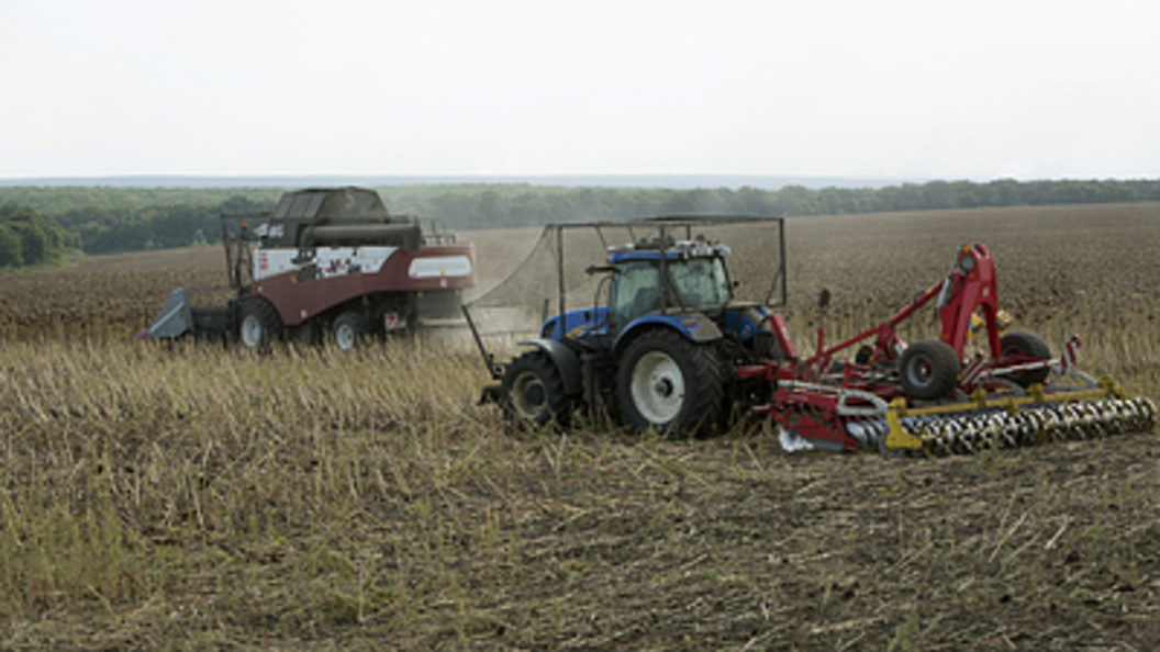    Фото: Nikolay Gyngazov/Globallookpress