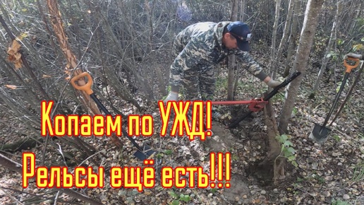 Металлокоп! Копаем на УЖД. Снова рельсы!!!