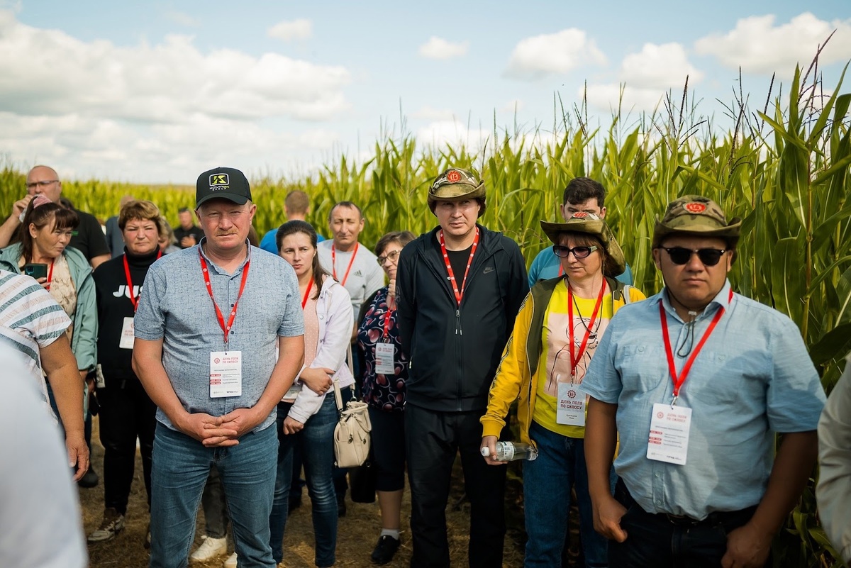 День поля по силосу в Пермском крае