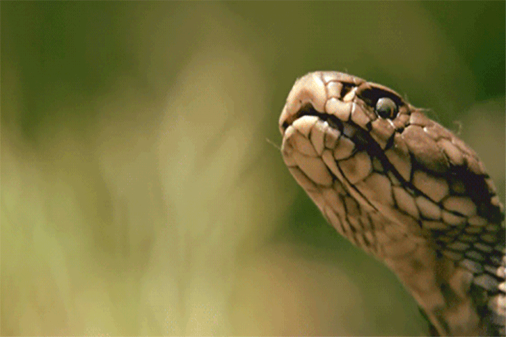 Фото: Яндекс картинки