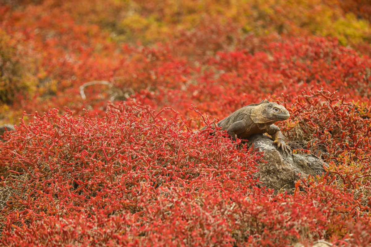 Картинка с бесплатного фотостока https://unsplash.com, автор Dylan Shaw