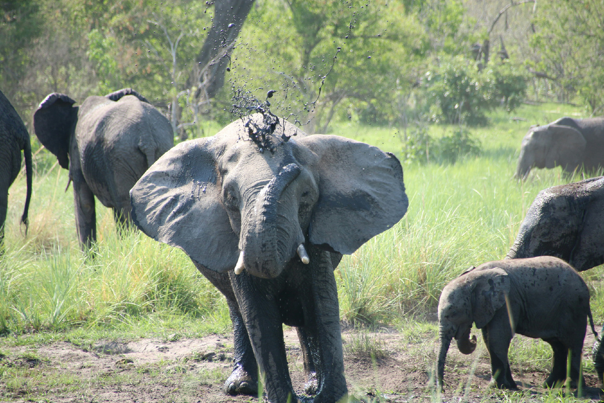 Картинка с бесплатного фотостока https://unsplash.com, автор Travel Explore Protect