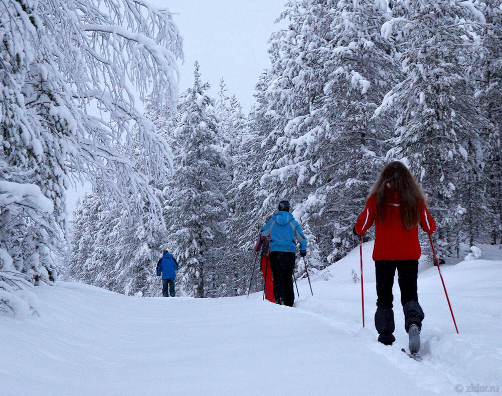 Из открытых источников.