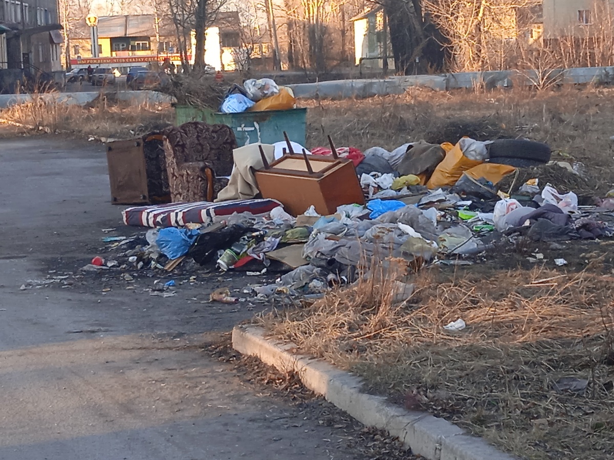 Пикча из открытых источников