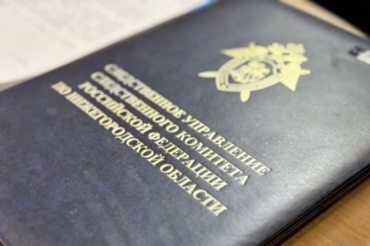    СК проведет проверку по инциденту со школьницей в Тонкинской школе