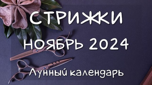 Лунный календарь СТРИЖЕК волос на НОЯБРЬ 2024 Благоприятные и неблагоприятные дни #календарьстрижек