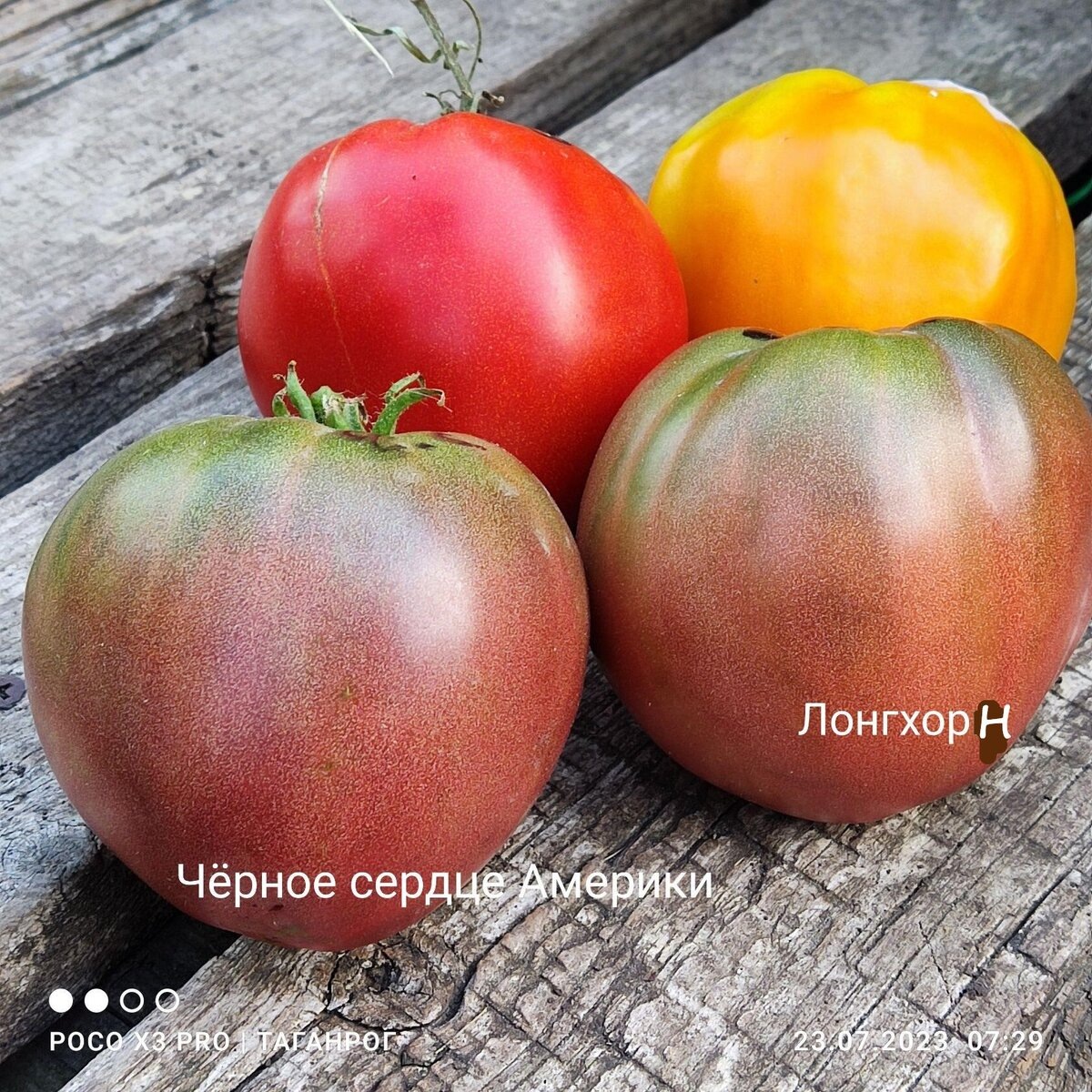 Мои сердечные фавориты