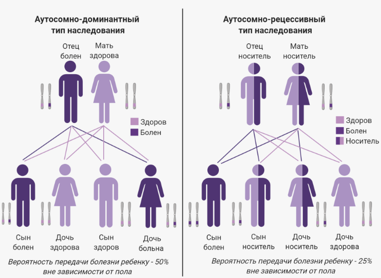 Аутосомно-рецессивное заболевание — это наследственное заболевание, при котором обе копии одного гена несут в себе мутации, что приводит к развитию генетической патологии. В этом случае ребенок наследует один пораженный ген от мамы, а второй — от папы. В тоже время, оба родителя здоровы и являются (просто) носителями заболевания.