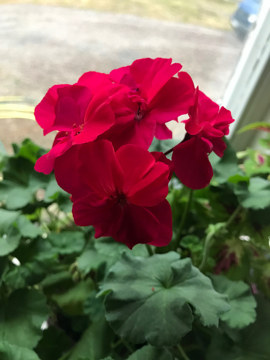 Фото из личного архива 