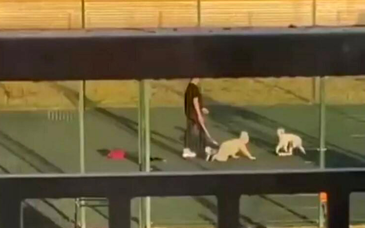 Скриншот видео / соцсети