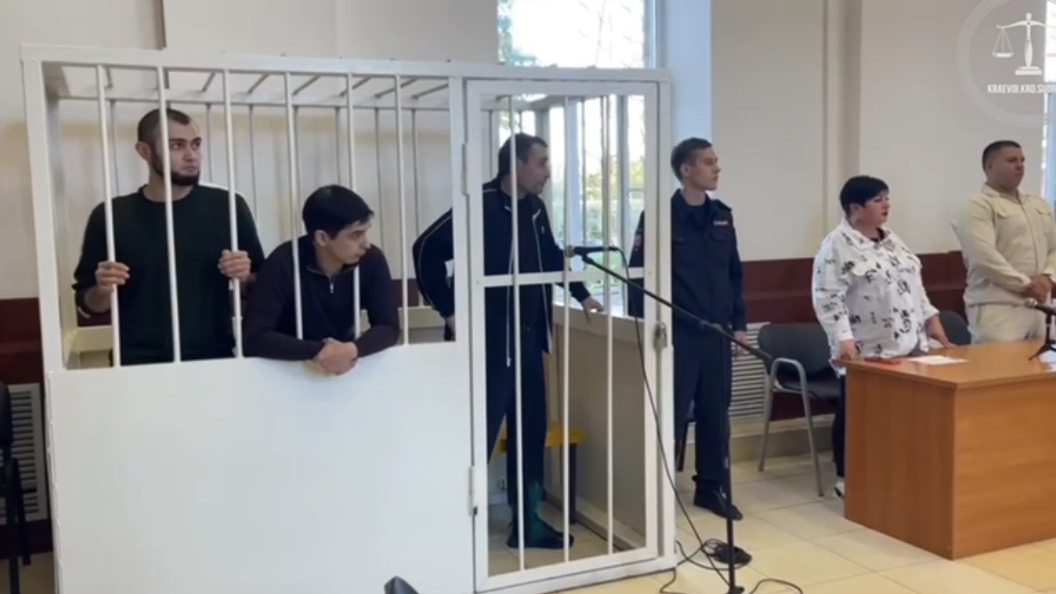    Фото: скрин видео