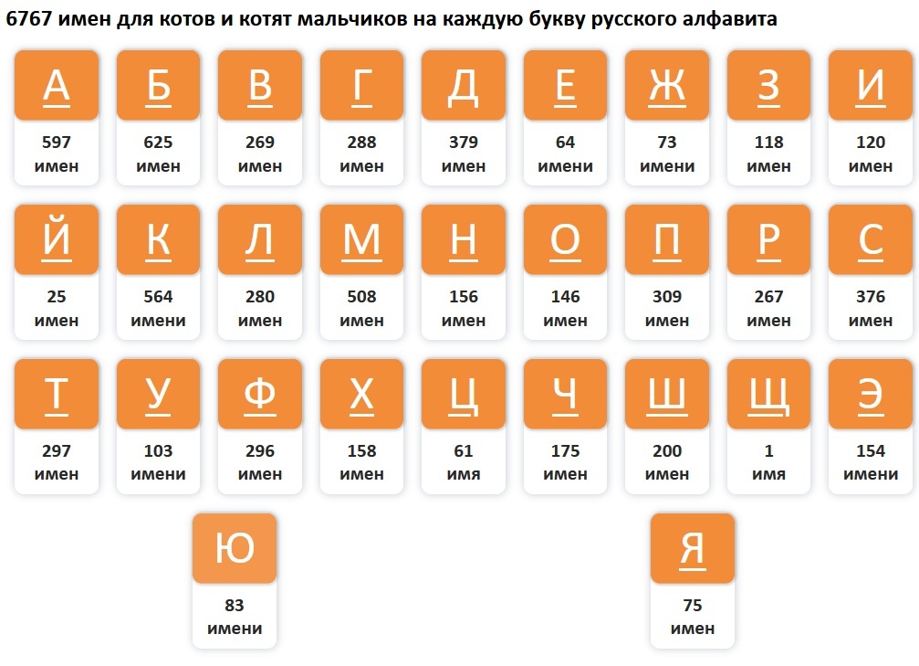 6767 имен для котов и котят мальчиков на каждую букву русского алфавита