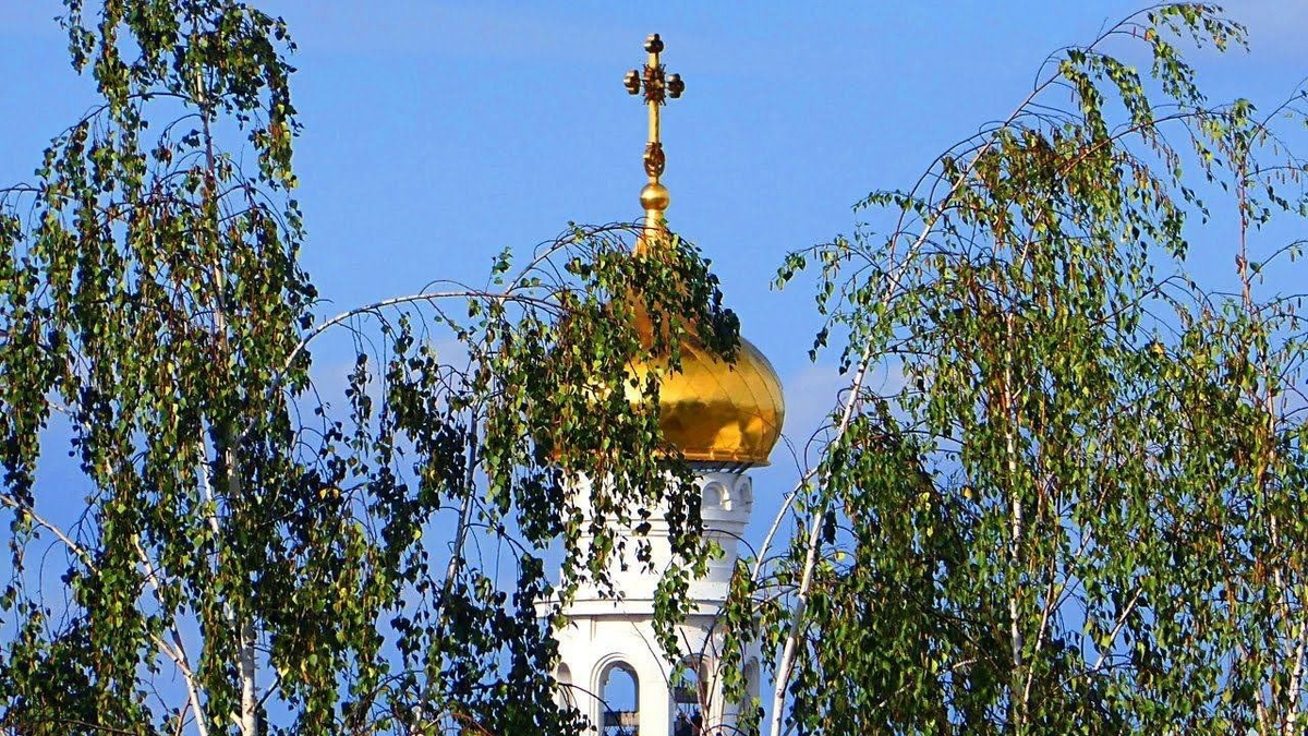 Фото из открытого источника. 