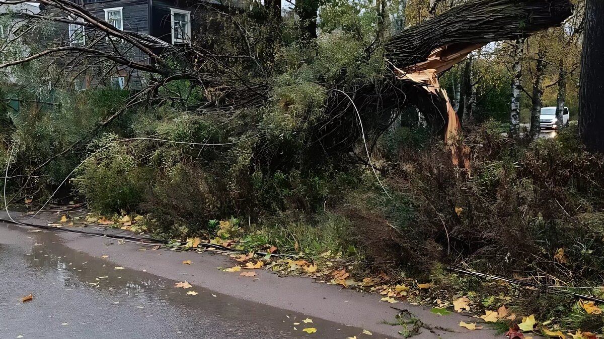     Источник: Сергей Крупин / vk