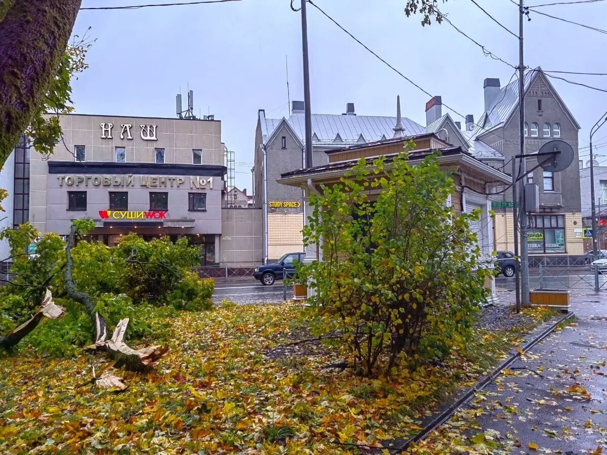     Источник: Сергей Крупин / vk