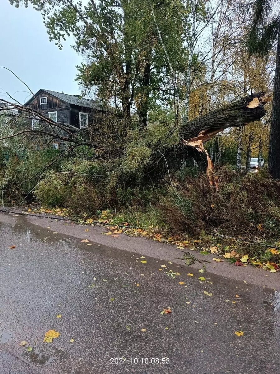     Источник: Сергей Крупин / vk