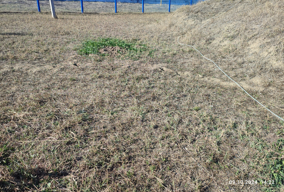 Трава зеленеет только там где поливалось