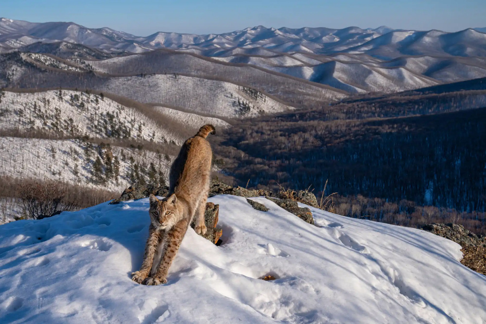    Фото: Igor Metelskiy