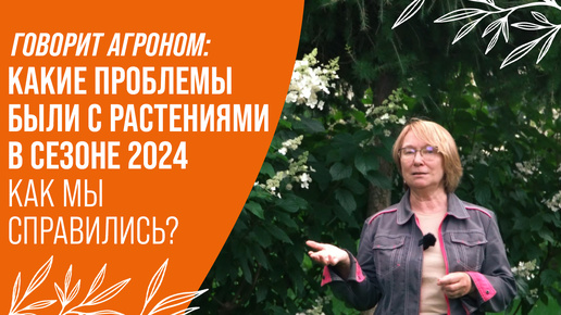 Говорит агроном: какие проблемы были с растениями в сезоне 2024г/ как мы справились?