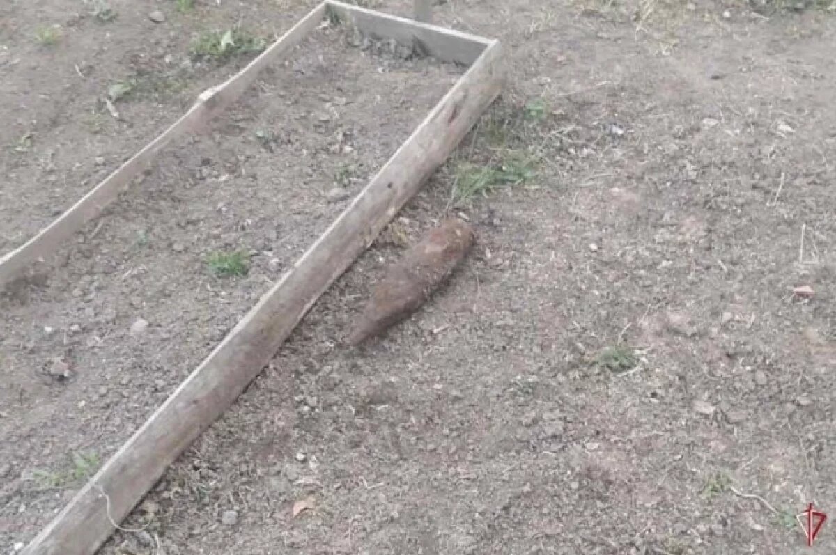    Снаряд времён ВОВ обнаружил житель Удмуртии на своём огороде