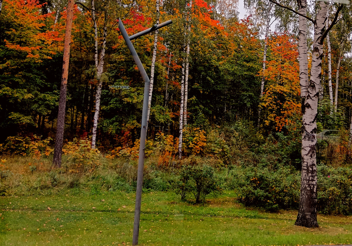 Октябрь, фото автора 