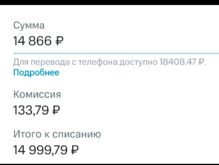 Причем в эту сумму входит и комиссия.