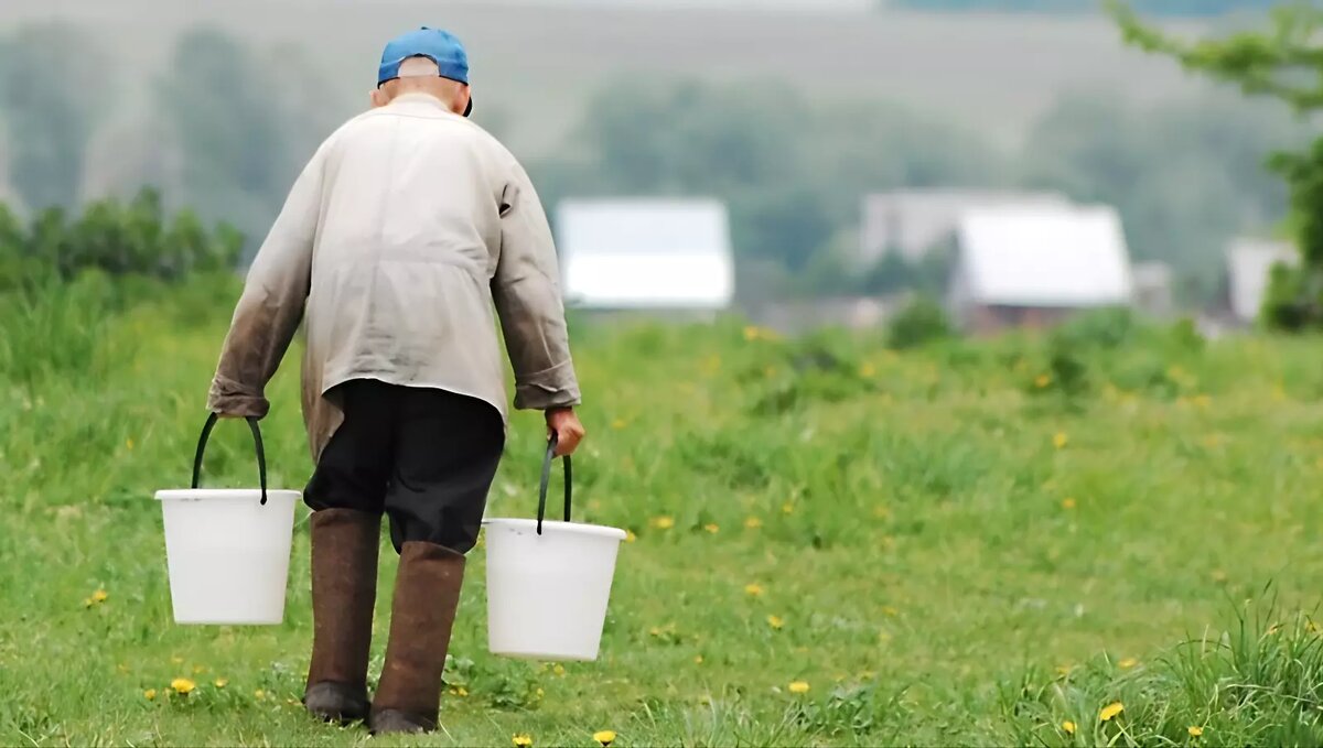 Пенсии в России повысят в 2025 году на 7,5%. Источник: tver24.ru
