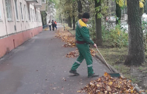 Когда убирают листву. Когда убирают листву