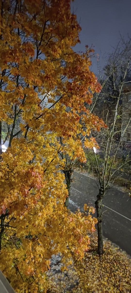 За окном (фото автора)