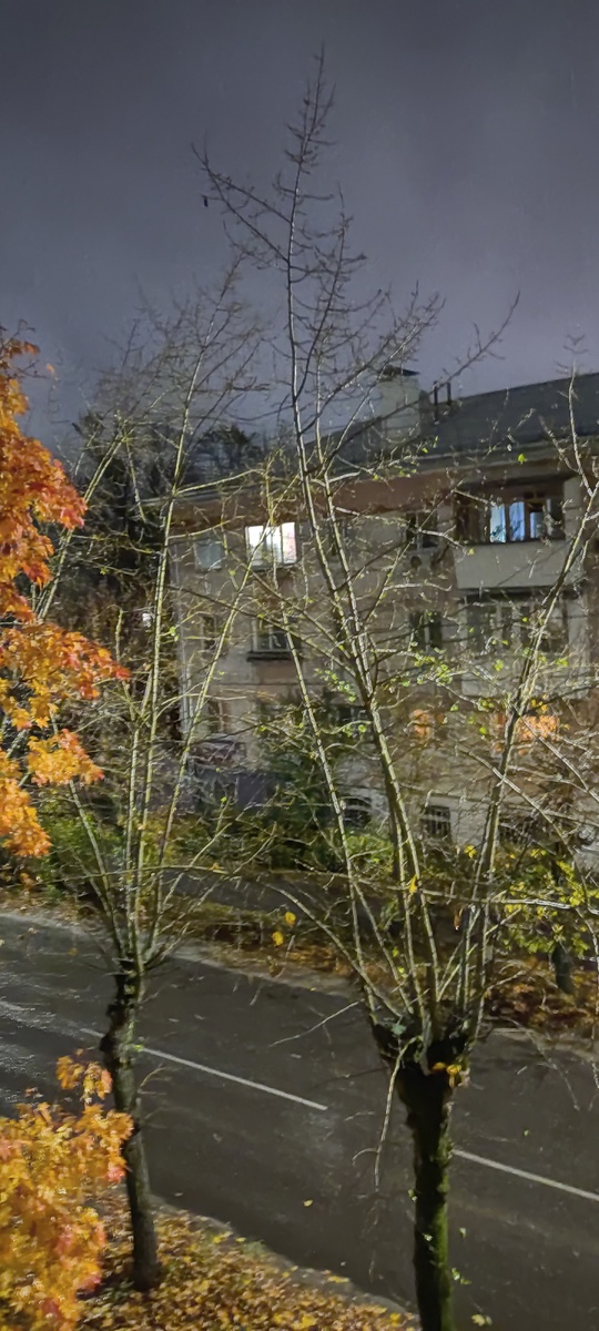 Осень, однако (фото автора)