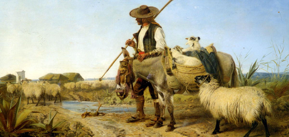 Из открытых источникоа.