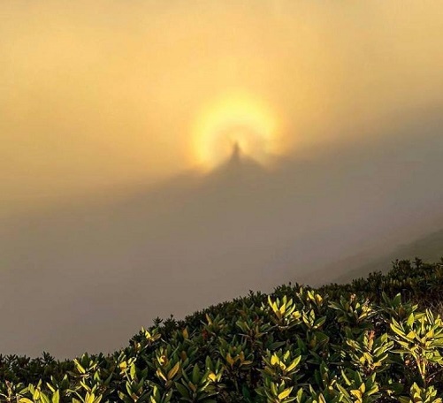    Фото: телеграм-канал Сочи №1