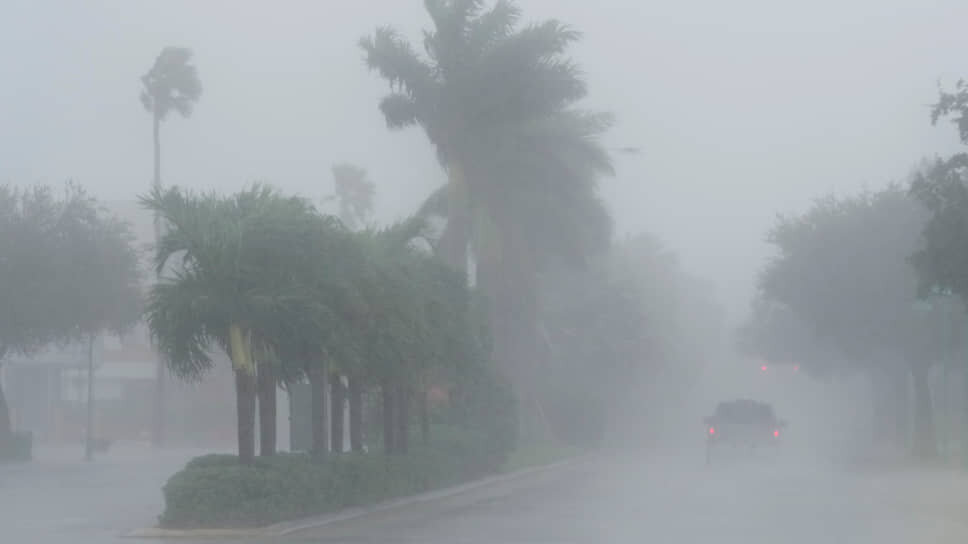 Ливень перед ураганом в округе Ли.📷Фото: Marta Lavandier / AP