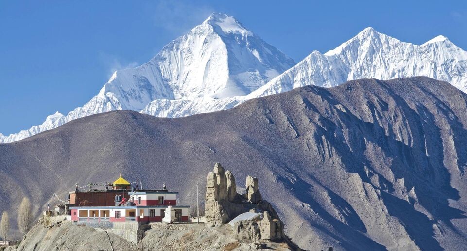    Frank Bienewald / Global Look Press