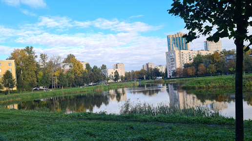 Санкт-Петербург. Прекрасное осеннее утро. Проспект Ветеранов.