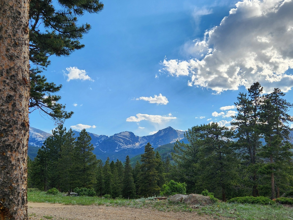 Фото с бесплатного фотостока https://unsplash.com, автор Desi Beckmann