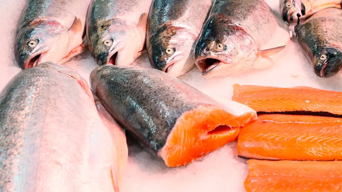 Можно ли найти хорошую рыбу в магазинах? 