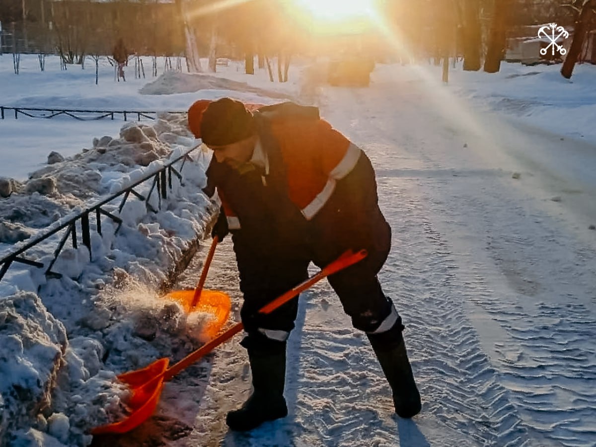 Фото: telegram.org / Правительство Санкт-Петербурга 